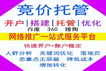 某电商平台的SEM关键词策略及成效分析